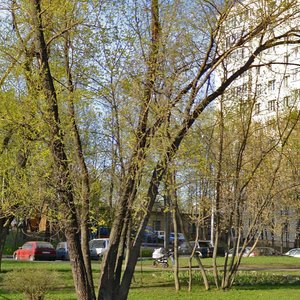 Москва, Улица Багрицкого, 1: фото