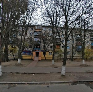 Heroiv Sevastopolia Street, 19, Kyiv: photo