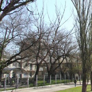 Mechnikova Street, 45А, Rostov‑na‑Donu: photo