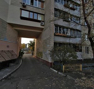 Pryrichna Street, 27, Kyiv: photo