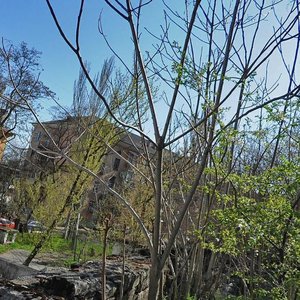 Sverdlova Street, 14, : foto