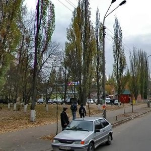 Hnata Yury Street, 7Д, Kyiv: photo