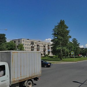 Narodnogo Opolcheniya Avenue, 233, Saint Petersburg: photo