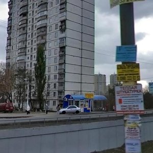 Киев, Улица Владимира Покотило, 1: фото