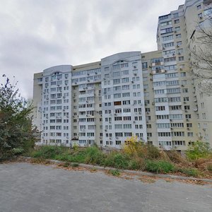 Kudriashova Street, 3, Kyiv: photo