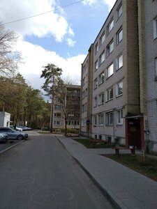 Вильнюс, Улица Юодшилиу, 4: фото