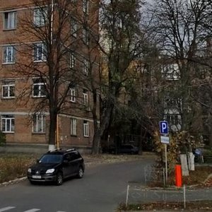 Valeriia Lobanovskoho Avenue, 55, Kyiv: photo