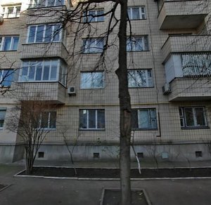 Ipsylantiivskyi Lane, 5, Kyiv: photo