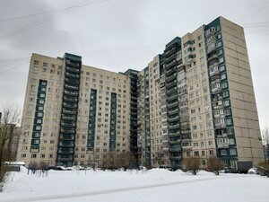 Udarnikov Avenue, 30к1, : foto