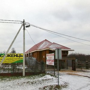 Нижегородская область, Береговая улица, 68А: фото