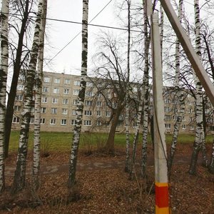 Settlement of Selektsionnoy Stantsii, 19, Nizhny Novgorod Oblast': photo