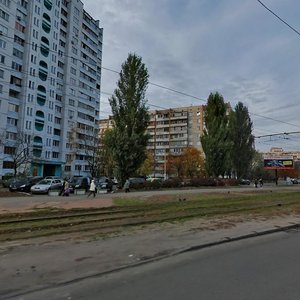 Heroiv Dnipra Street, 29, Kyiv: photo