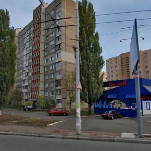 Heroiv Dnipra Street, 22, Kyiv: photo