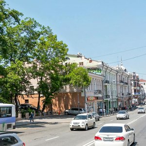 Владивосток, Алеутская улица, 21: фото