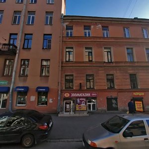 Degtyarnaya Street, 9, Saint Petersburg: photo