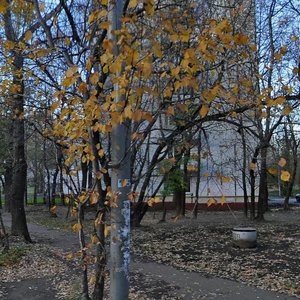 Pogonniy Drive, 25 ، موسكو: صورة