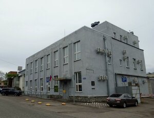 Mayakovskogo Street, 8, Vyborg: photo