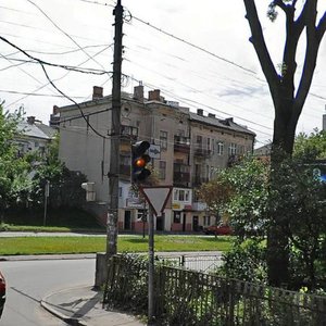 Vulytsia Rodyny Barvinskykh, 11, Ternopil: photo