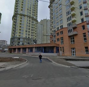 Kudriashova Street, 20В, Kyiv: photo