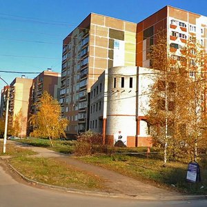 Novosyolov Street, 53Д, Ryazan: photo