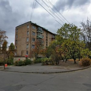 Mykhaila Lomonosova Street, 19/11, Kyiv: photo