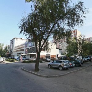 Jambyl Street, 204, Almaty: photo