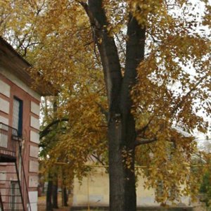 Rizhskaya ulitsa, 7А, : foto