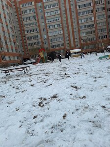 Vracha Mikhaylova Street, 48, Ulyanovsk: photo
