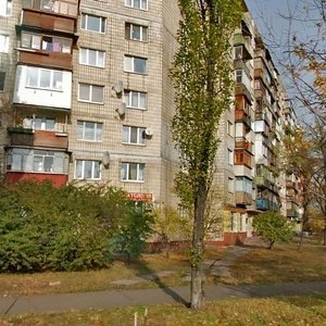 Entuziastiv Street, 17, Kyiv: photo