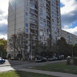 Marshala Rokosovskoho Avenue, 6, Kyiv: photo