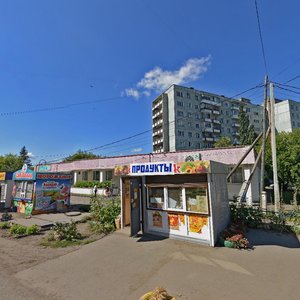 Омск, Башенный переулок, 2к1: фото