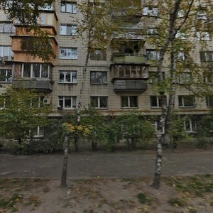 Киев, Брест-Литовский переулок, 6/10: фото