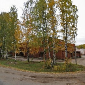 Rabochiy posyolok Lesnaya Polyana, 37 ، مقاطعة ياروسلافل: صورة