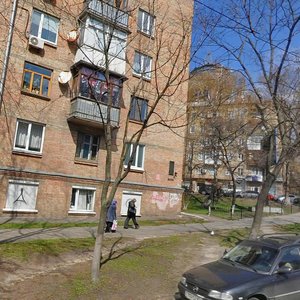 Chyhorina Street, 61, Kyiv: photo