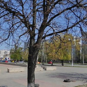 Prospekt Traktorobudivnykiv, 102, Kharkiv: photo