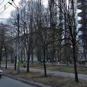 Ivana Vyhovskoho Street, 9, Kyiv: photo