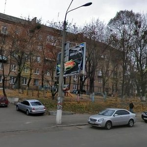 Vasylkivska Street, 13, Kyiv: photo