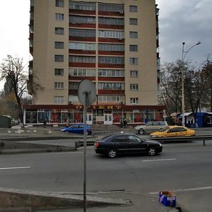 Chokolivskyi Boulevard, 3, Kyiv: photo