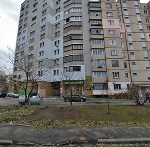 Vilhelma Kotarbinskoho Street, 15 ، كييف: صورة
