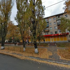 Borschahivska Street, 212, Kyiv: photo