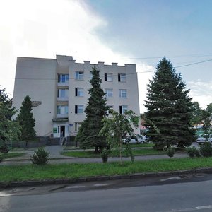 Mytna vulytsia, 1, Uzhhorod: photo