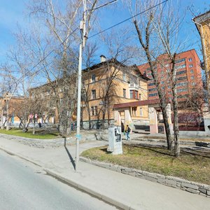 Butorina Lane, 11, Yekaterinburg: photo