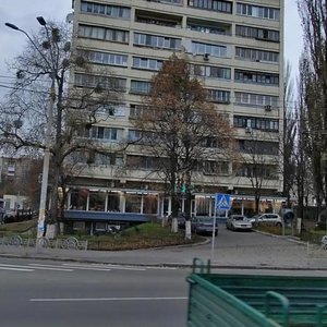 Viacheslava Chornovola Street, 30, Kyiv: photo