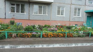 Motornaya ulitsa, 11 ، أومسك: صورة