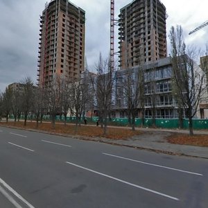 Koltsova Boulevard, 14, Kyiv: photo