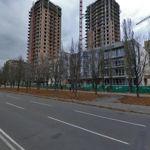 Koltsova Boulevard, 14, Kyiv: photo