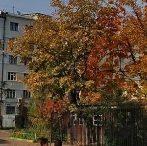 Golikovsky Lane, 7А ، موسكو: صورة