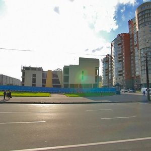 Санкт‑Петербург, Долгоозёрная улица, 14к2: фото