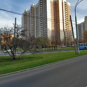 Москва, Алтуфьевское шоссе, 100: фото