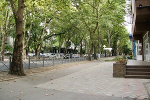 Kievskaya Street, 30 ، سيمفيروبول: صورة